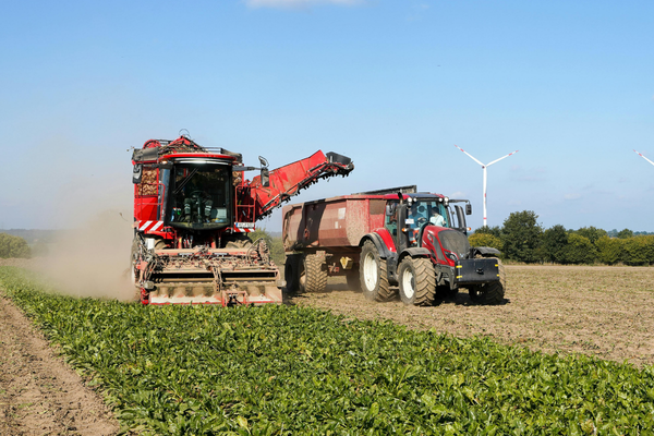 agriculture